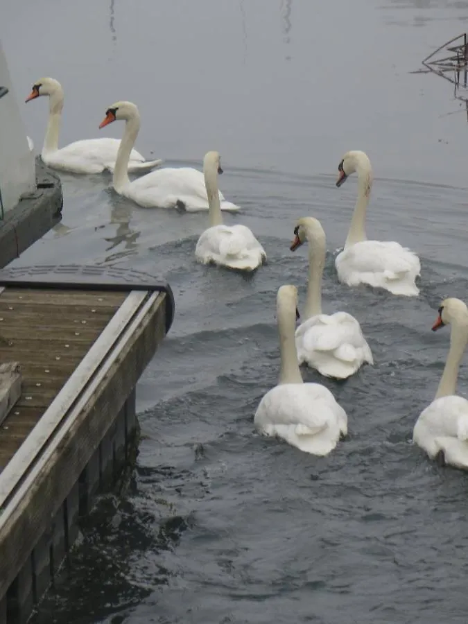 Ma Nuit Insolite Sur Un Bateau Valence